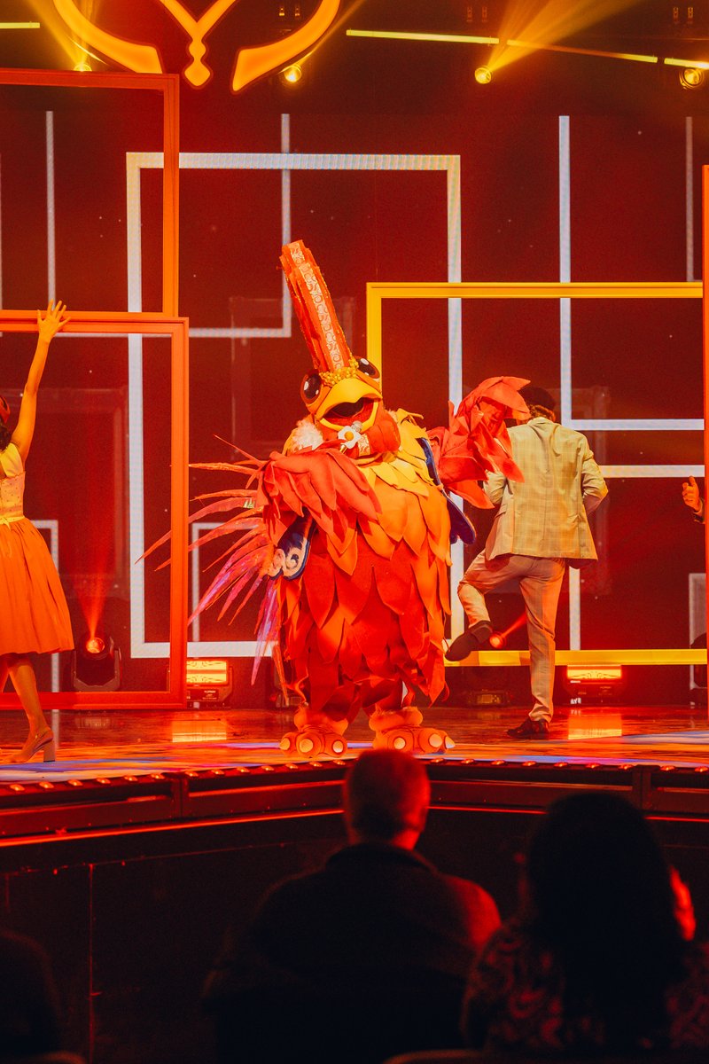 Si hablamos de guapeza, hablamos de esta máscara con todas las plumas bien puestas 💪😉 ¡Bienvenido, #Gallo🐓, a la cuarta temporada de #LaMascaraUY! 📺 <a href="/teledoce/">𝗧𝗲𝗹𝗲𝗱𝗼𝗰𝗲 📺</a>