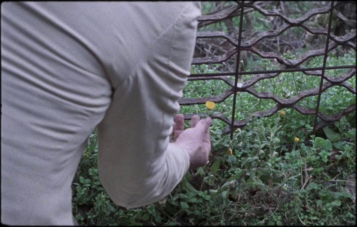 watashitachihe's tweet photo. La Chimera (Alice Rohrwacher, 2023) https://t.co/HpuLt2hATZ
