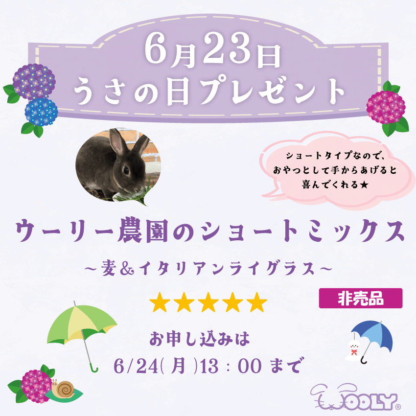 WOOLY（ウーリー） ㅣ うさぎの食彩工房 tweet media