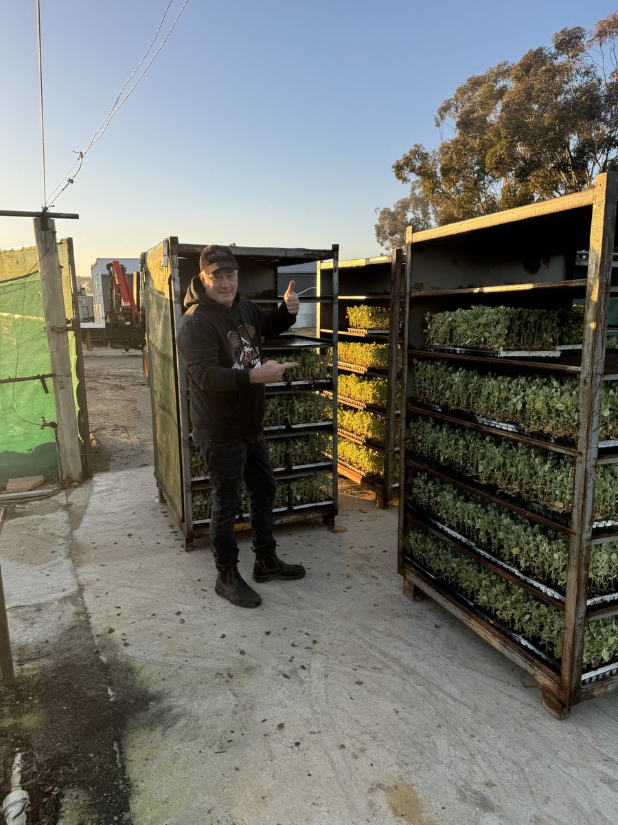 Deliveries started
Last week
Badgebup - Katanning
Kulja 
Dustin went to Capel yesterday 
Steele to Westonia today
Pickups from people in Wagin, York, Newdegate, Quairading
Tomorrow Kalgarin
Thursday Friday - Esperance 
Sunday Monday - Esperance 

#chatfieldstrees