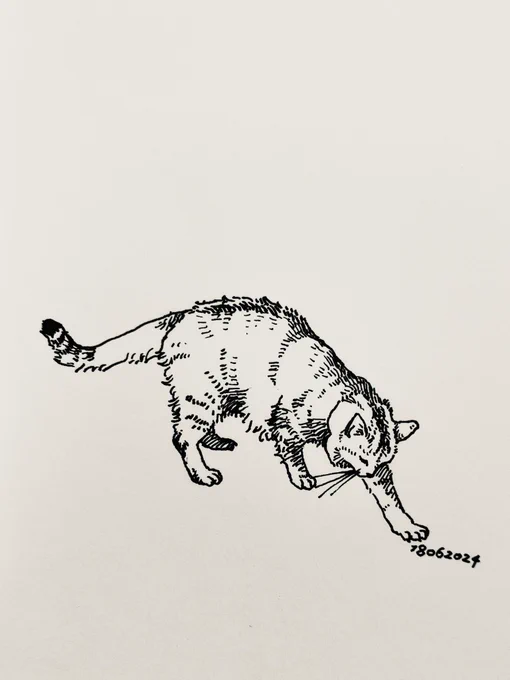 うんこ認定 