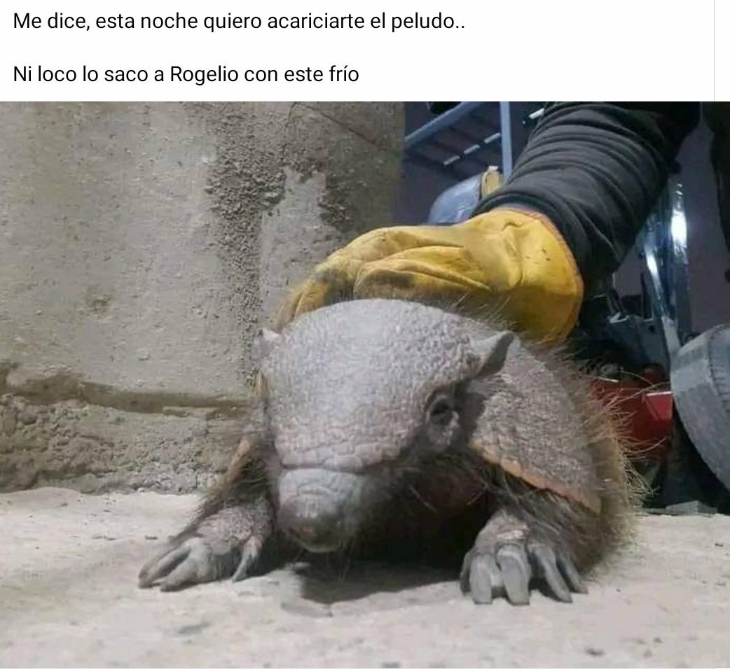 jer0mino's tweet image. 