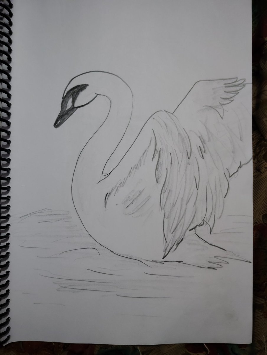 dukiyakhunkhuna's tweet photo. चित्रकार डुकिया🖌🖌 ✏️✏️
@dukiyakhunkhuna
#art #ArtistOnX #artistsupport #artprint #scach https://t.co/IFXJJ1M1ra