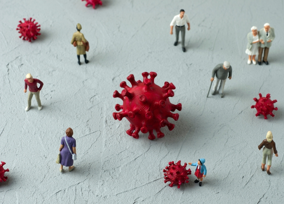 New research finds exposure to influenza B during childhood impacts how well our immune system can recognise new variants and protect against them.
Published in <a href="/NatureMicrobiol/">Nature Microbiology</a> 
Learn more 👉 doherty.edu.au/news-events/ne…
<a href="/MariosKoutsakos/">Marios Koutsakos</a> <a href="/UniMelbMDHS/">UniMelb MDHS</a> <a href="/TheRMH/">The Royal Melbourne Hospital</a>