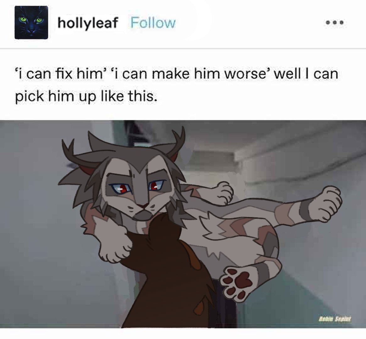 cheryxshug's tweet photo. hollyleaf and ashfur

[#warriorcats] https://t.co/ko9f94uH0K