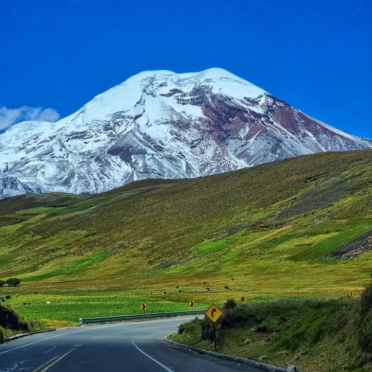 RiobambaBot's tweet photo. ★ Hermosa toma del Chimborazo.🗻❤🇪🇨 📸: Familia Alomoto. https://t.co/Qyyu4rJUi9