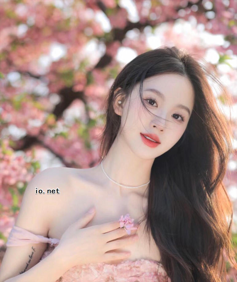 io.net   the best project