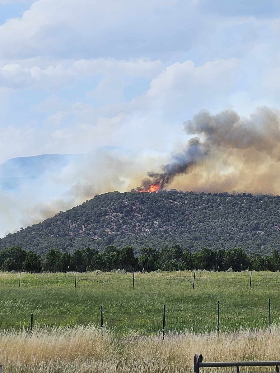 brian_schnee's tweet image. 📸 of the #BigDrawFire via Courtney Torrey