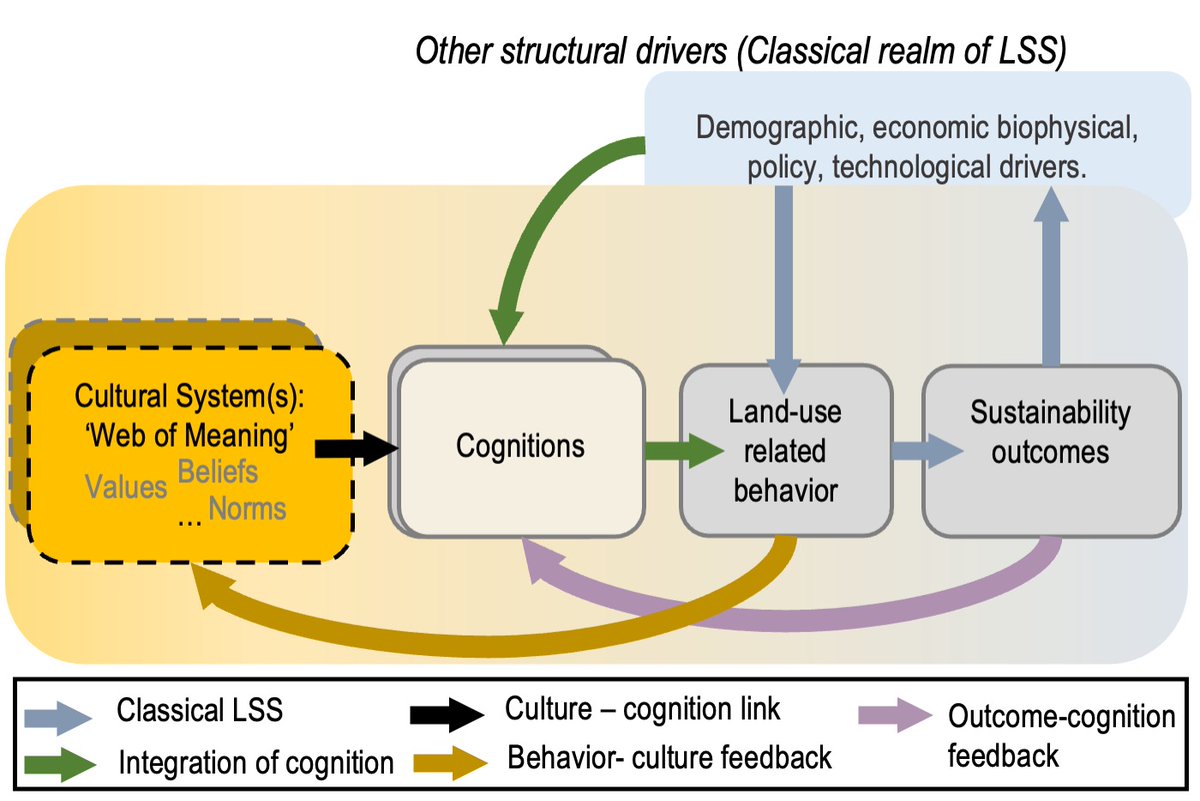 Leonie Hodel tweet media