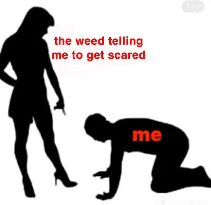 Me rn lol https://t.co/m86xA9IxIF