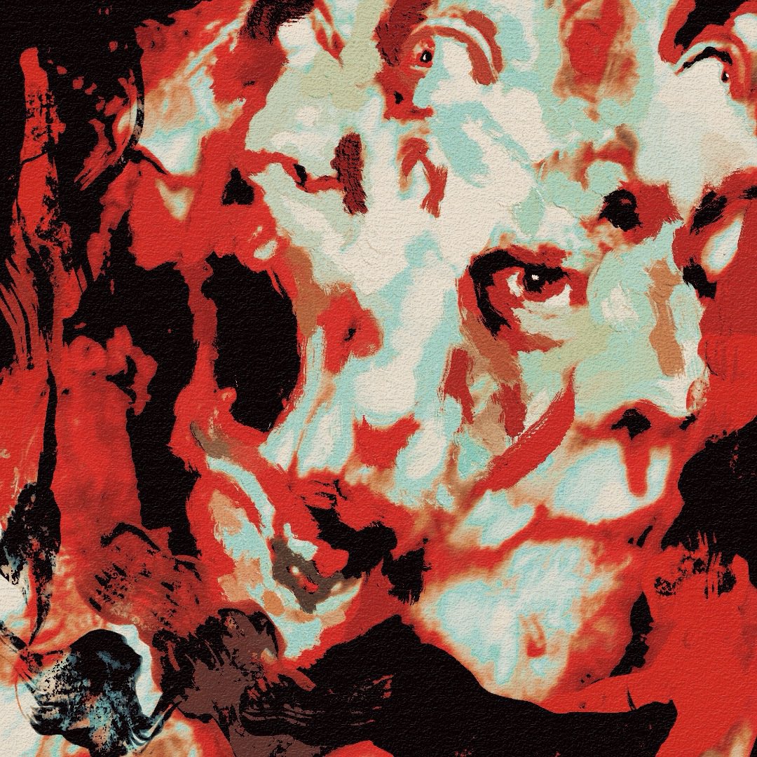 Stephania tweet media