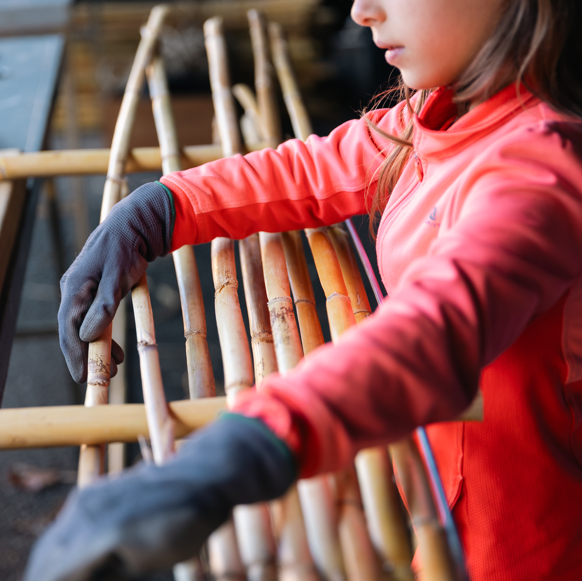 FECS · Fira de l'Energia i Construcció sostenible tweet media