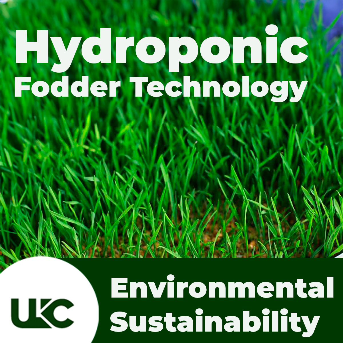 uruhimbi's tweet photo. Our solution: Hydroponic fodder technology. Nutritious animal feed in one week, using minimal space and resources. #Hydroponics #AgTech #UKC https://t.co/2y2UJkebgf