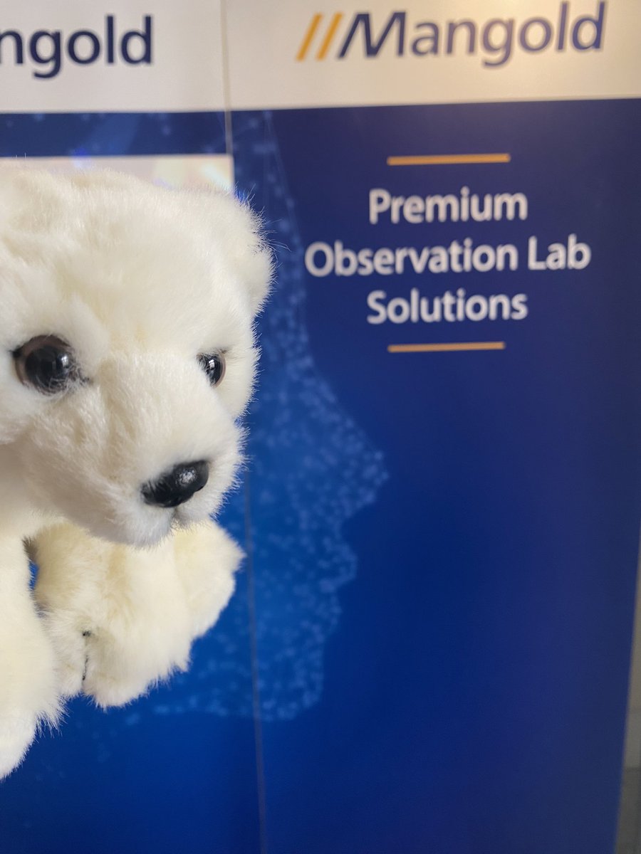 MangoldInt's tweet image. The @MangoldInt ice bears are still waiting for all #ISSBD2024 attendees.
Just stop at the exhibition booth and learn more about video based behavioral research.
@issbd @ISSBD_Org @ISSBD2024 

#behavioralresearch #videocoding #bahavior
