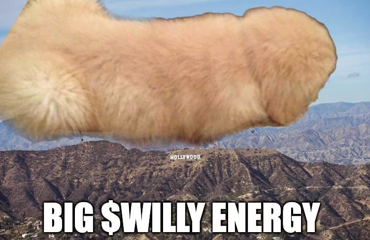 $Willy CTO tweet media