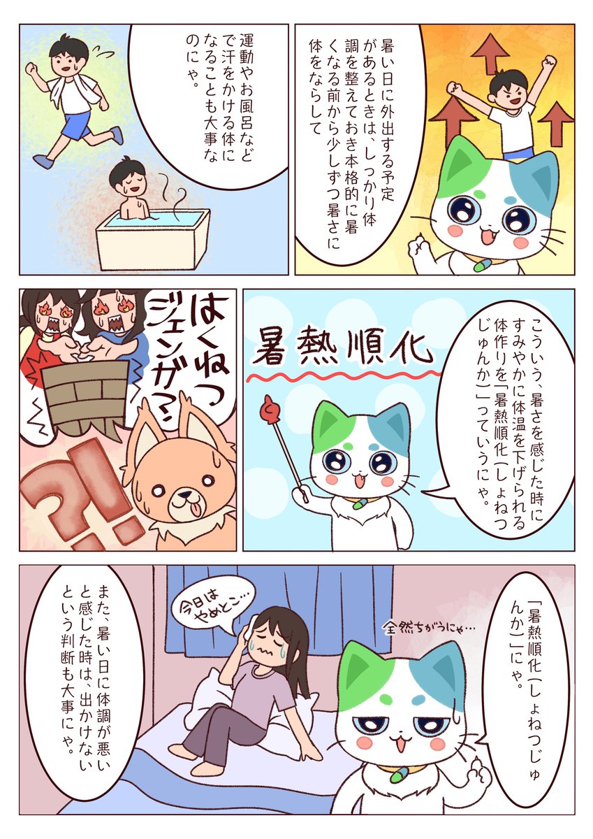 ⭐︎専用⭐︎猫さん様 元気いっぱい⭐︎サザンちゃん」千葉県 - 猫の里親募集(526595