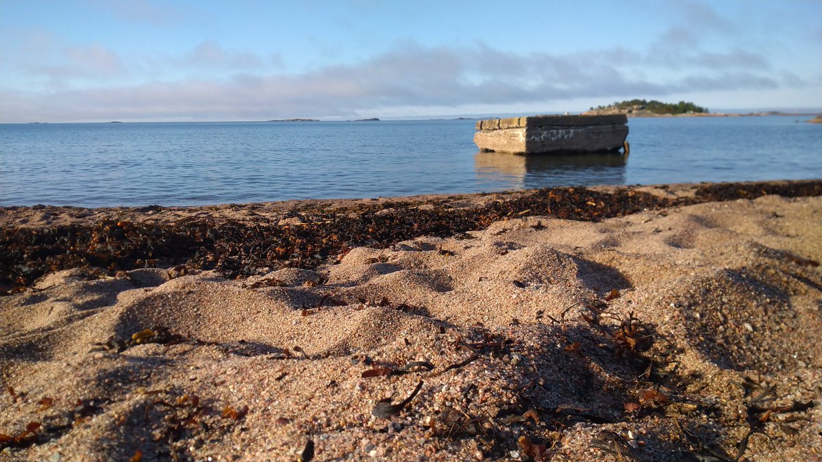 Kotona meressä monen matkan jälkeen. Ihana kesäaamu, lämpöä ja eilen lämmin sade. Hiljaisuus ja hyönteisten surina kukissa, lokit. Viileän veden herätys :) #aamupulahdus