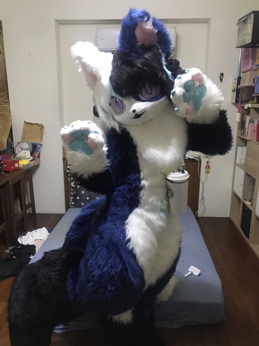 pepperkuki1's tweet photo. Meow but not meow!
#FursuitEveyday #獸裝 https://t.co/30780uCvNH