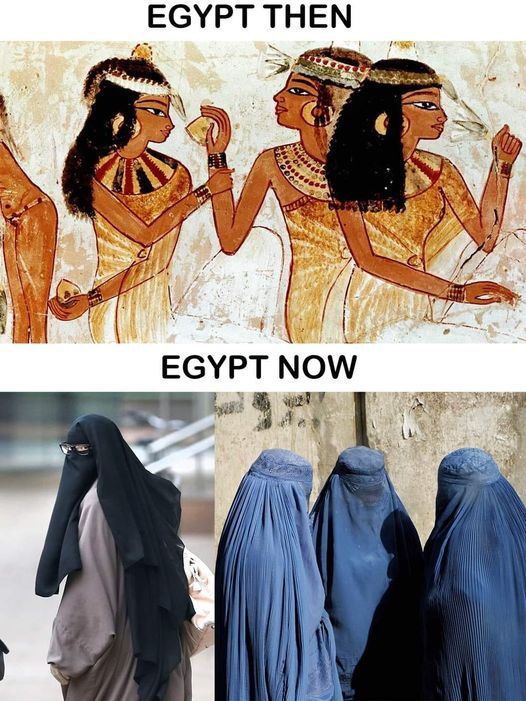 Imtiaz Mahmood tweet media