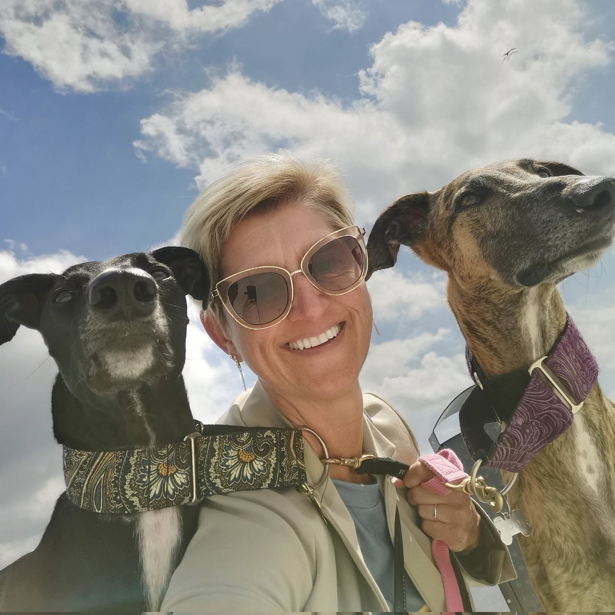 WCeulaerde's tweet photo. #NieuweProfielfoto https://t.co/wCyoULHPeq