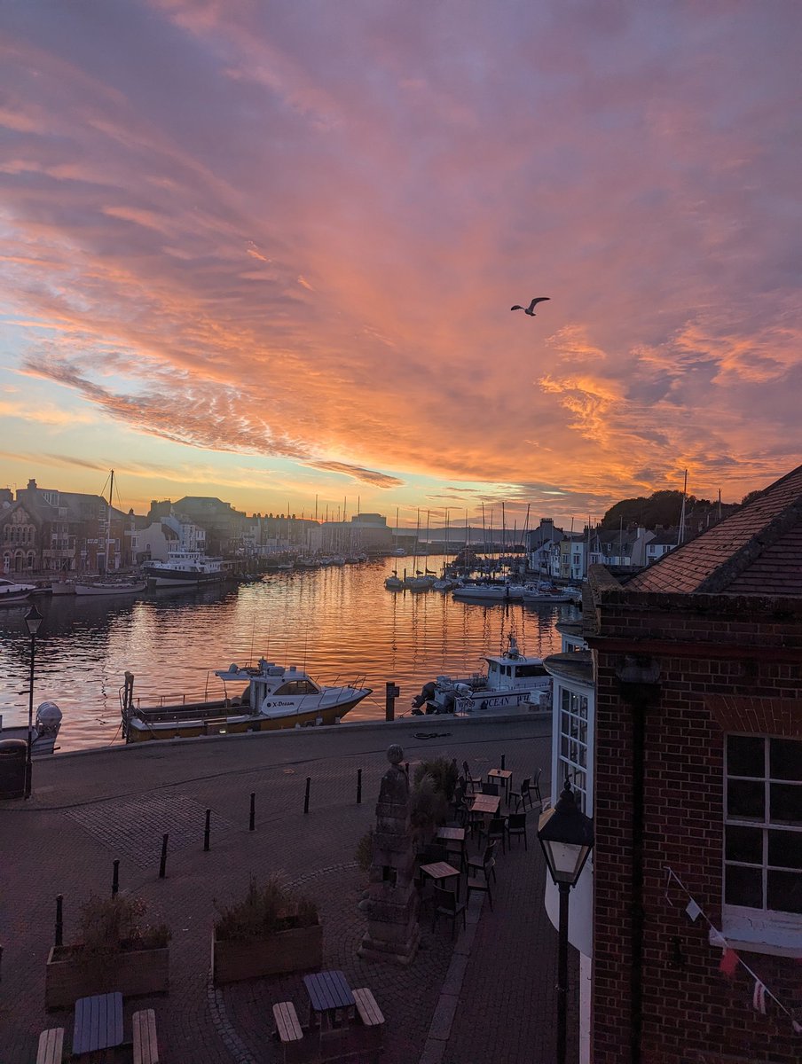 #WeySoHo tweet media