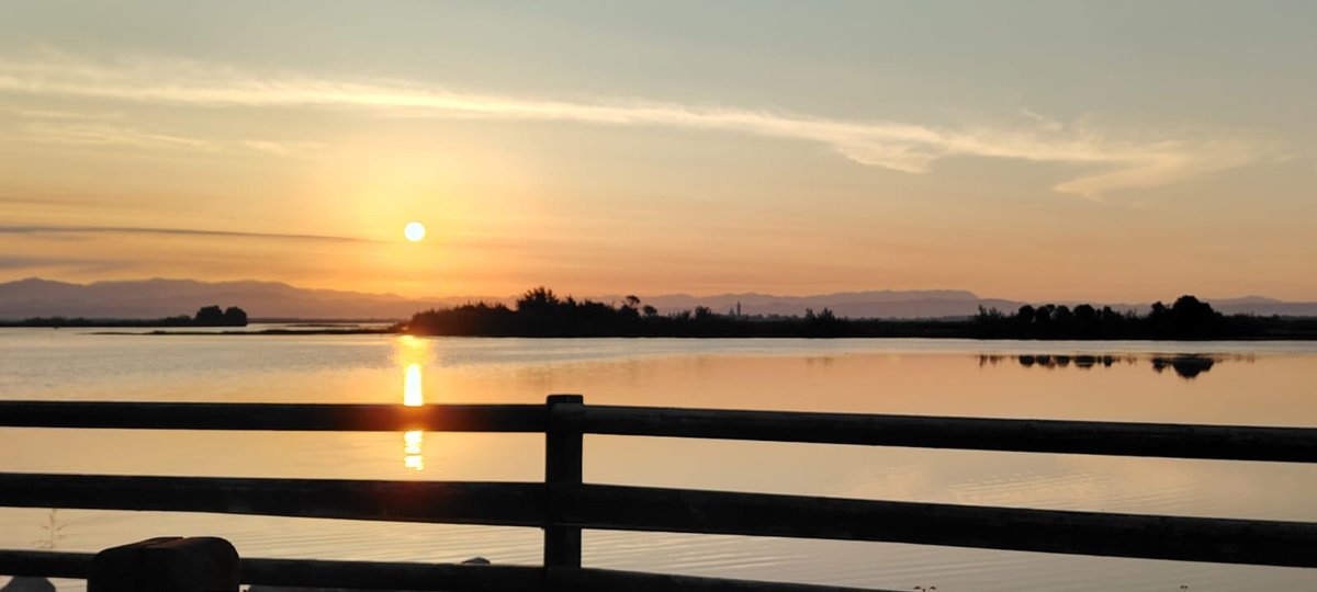 .<a href="/shockingnature/">🐶Nature is beautiful🐥</a> -

Uno splendido #buongiorno dall'#isola di #GRADO #island - #GoodMorning #GutenTag #BuenoDìas -

<a href="/srmcarla/">Francesca Bertaina</a> <a href="/mariacr28250504/">maria cristina lazzi</a> <a href="/giorgiobigi1/">giorgio bigi</a> <a href="/marina52182/">Marina 🌹🐞🦉</a> <a href="/SuttoraM/">suttora marina</a> <a href="/SaraSanson67/">Sara Sanson</a> <a href="/azzur_farfalla/">Azzurra Farfalla</a> <a href="/CiriSince1978/">Giuseppe</a> <a href="/enrica_emme/">enrica emme </a> <a href="/AugustSummer821/">August Summer</a> <a href="/Karolinapalac20/">Karolina palacios</a> <a href="/CMarc17/">Claudio Marchesan</a>