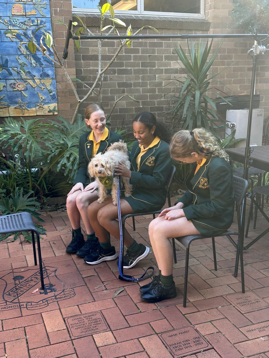 KENSINGTON PS tweet media