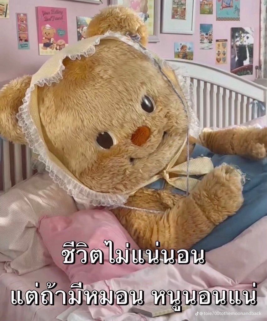 คังกากา tweet media