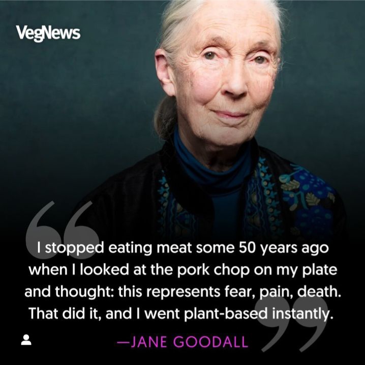 VegNews tweet picture