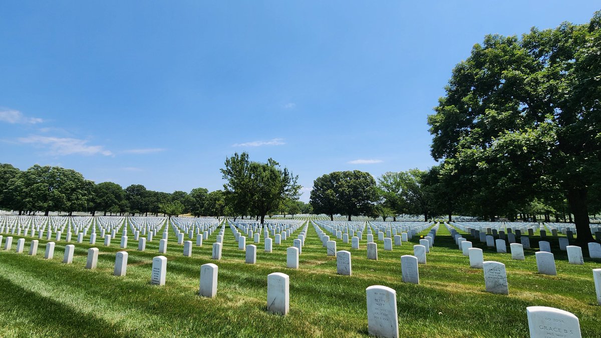 Dawn B. Vaughan tweet media