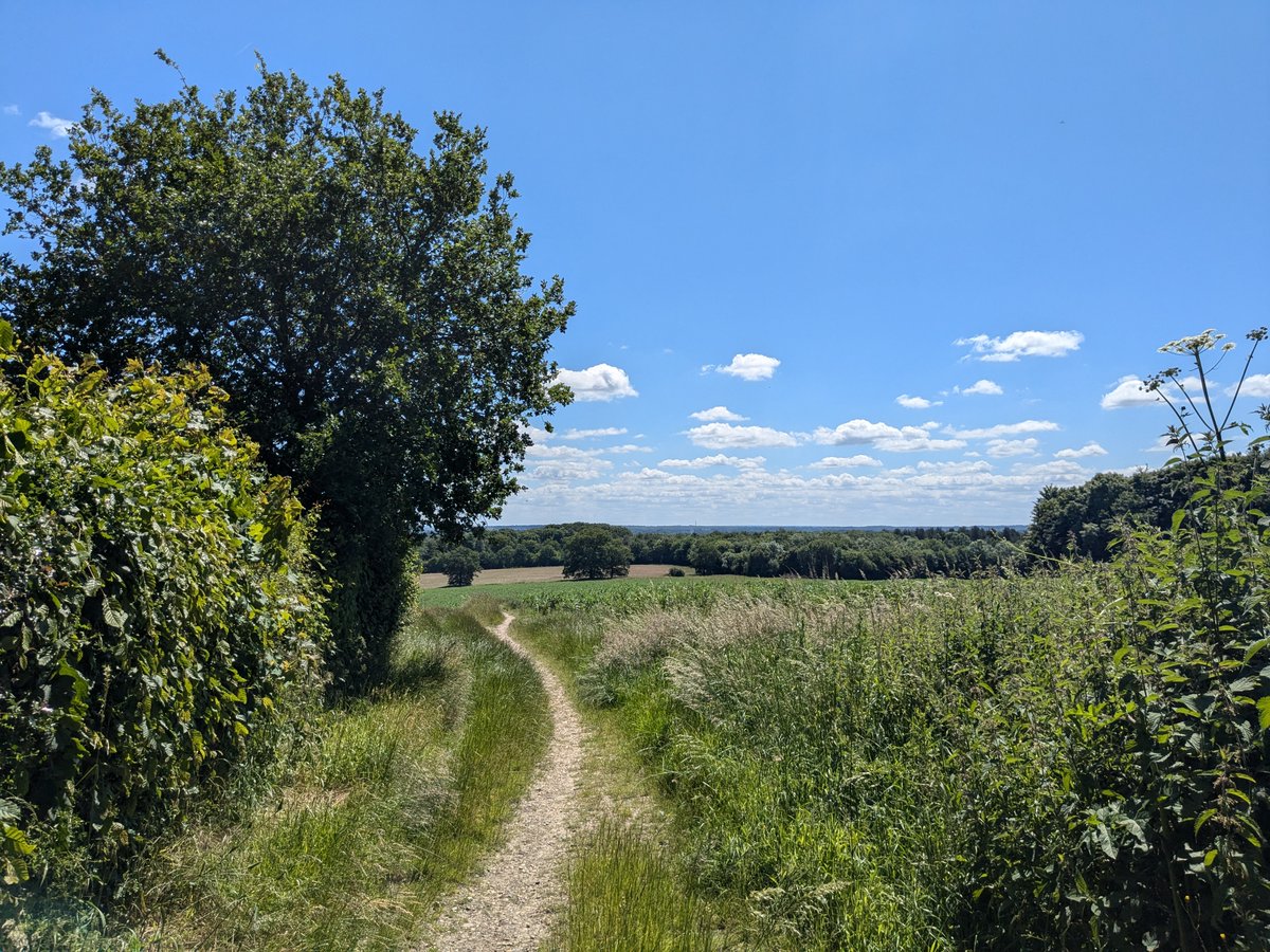 HertsWalker's tweet image. FREE: Walk 270: Bramfield North Loop. 4.2 miles (6.7 km). Directions, maps, photographs, and GPS navigation files free to download and enjoy.
hertfordshirewalker.uk/2024/06/walk-2…

#Hertfordshire #walking #freewalks #HertfordshireWalks #HertfordshireWalker #wildflowers #Tewin #Bramfield