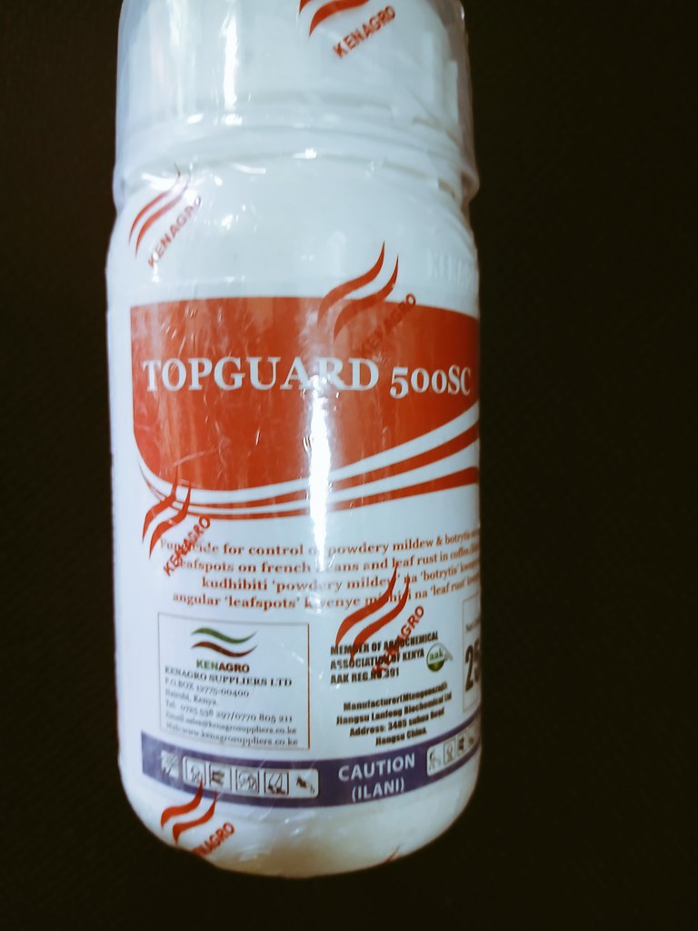 lebokaleb1's tweet image. "Discovering Kenagro Topguard has been a game-changer for my crops! 🌿🌾 Highly recommend for effective protection and growth. #Kenagro #Topguard #CropCare"