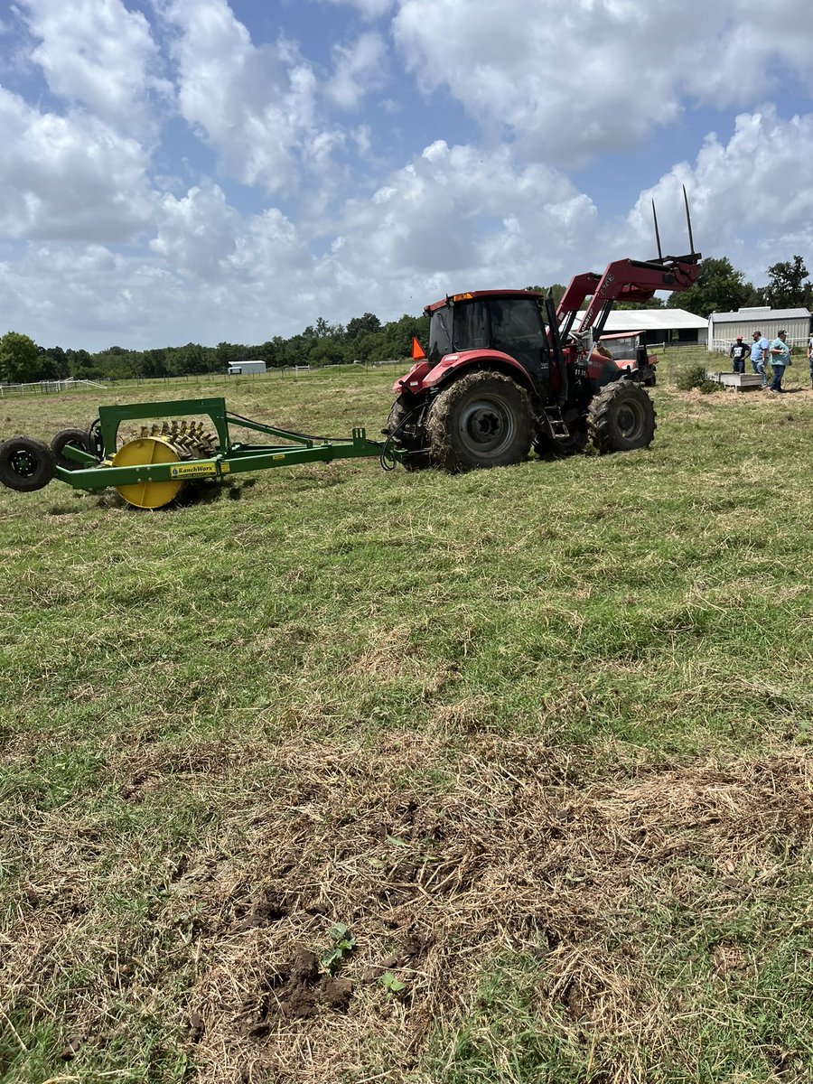 Grace Flusche Ogden tweet media