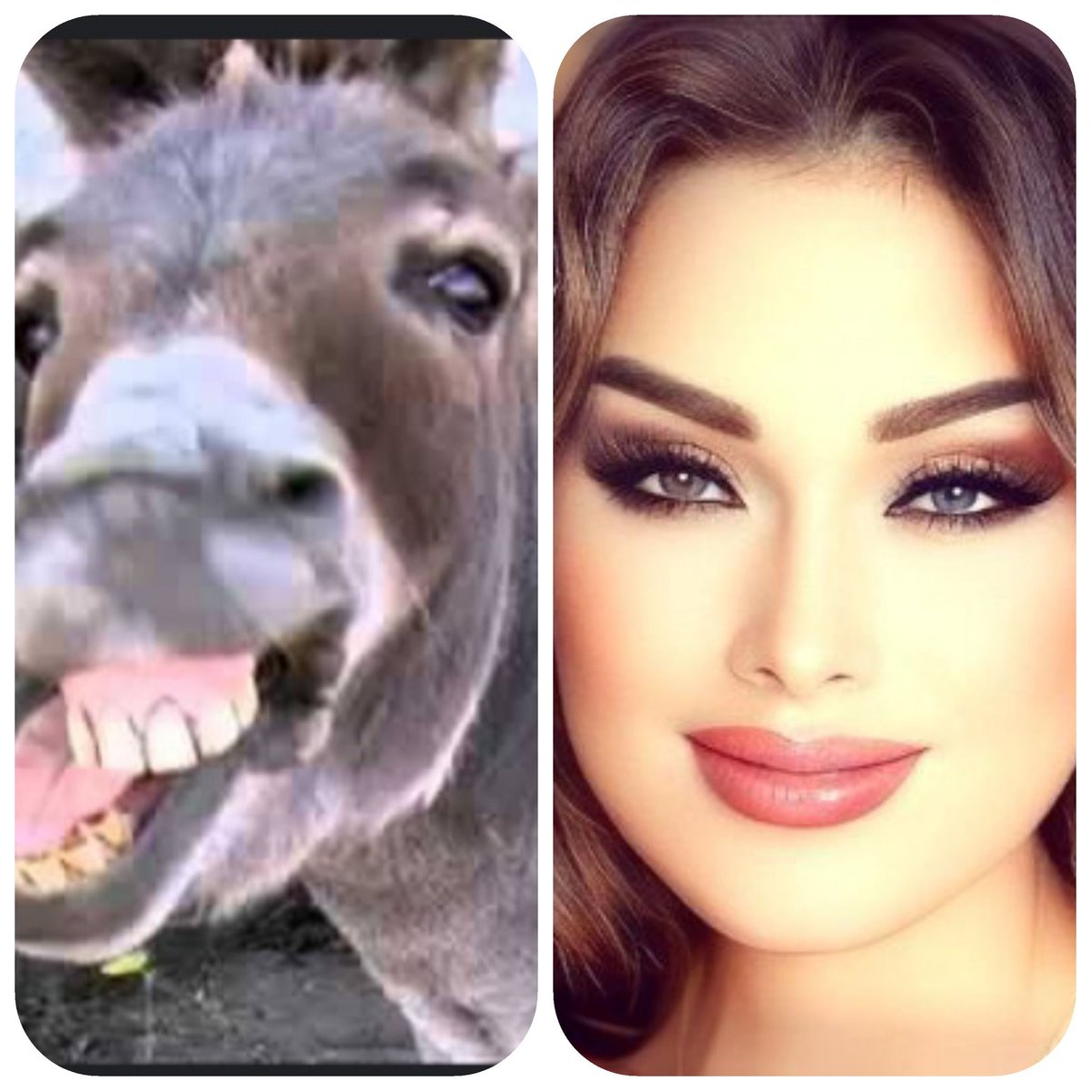 <a href="/LindaLebanon/">Linda أم خالد 🇸🇦🇱🇧</a> جبت لك ابوكي اهو يلا بالمره😅😅😅