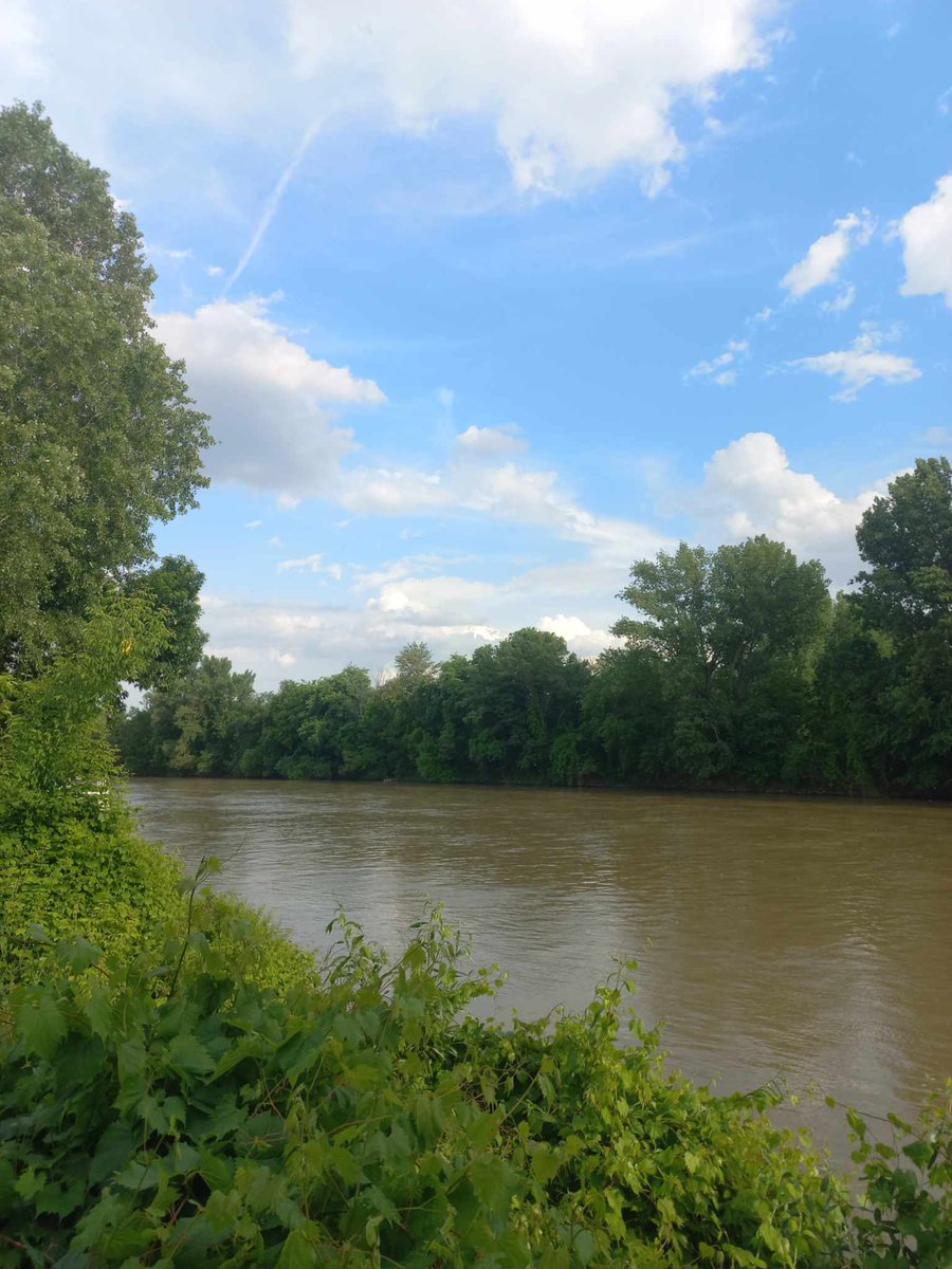 Good morning🌞🍃