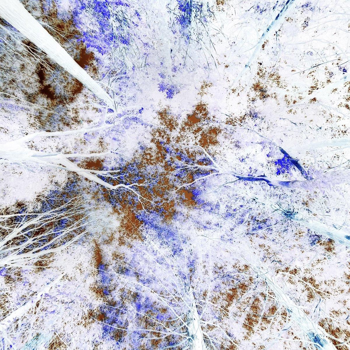 excited to announce my second ep, Hope. 

this ep takes you through my melodical side &amp; is an attempt at expressing a vision i had recently. 

all music, art, visualisers and masters have been created by myself.

The Changing World, drops next friday on all platforms. 💐💖