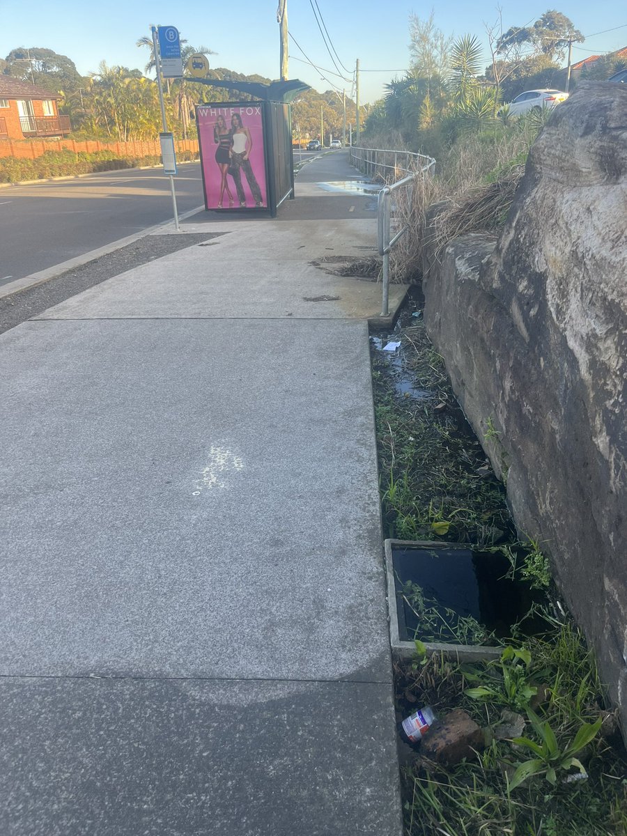 AdamLikeWater tweet media