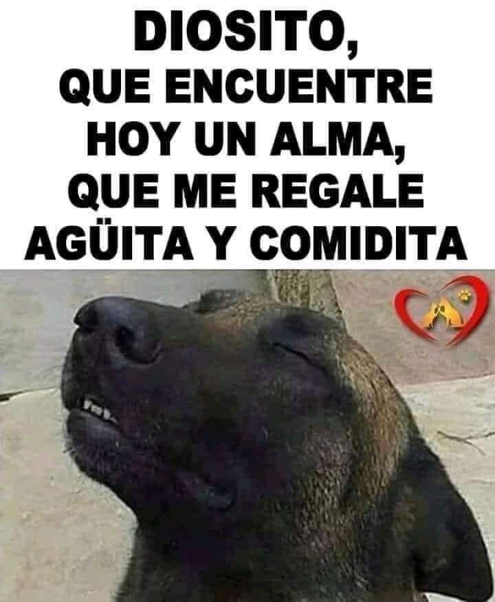 Sabueson (@sabueson) on Twitter photo 