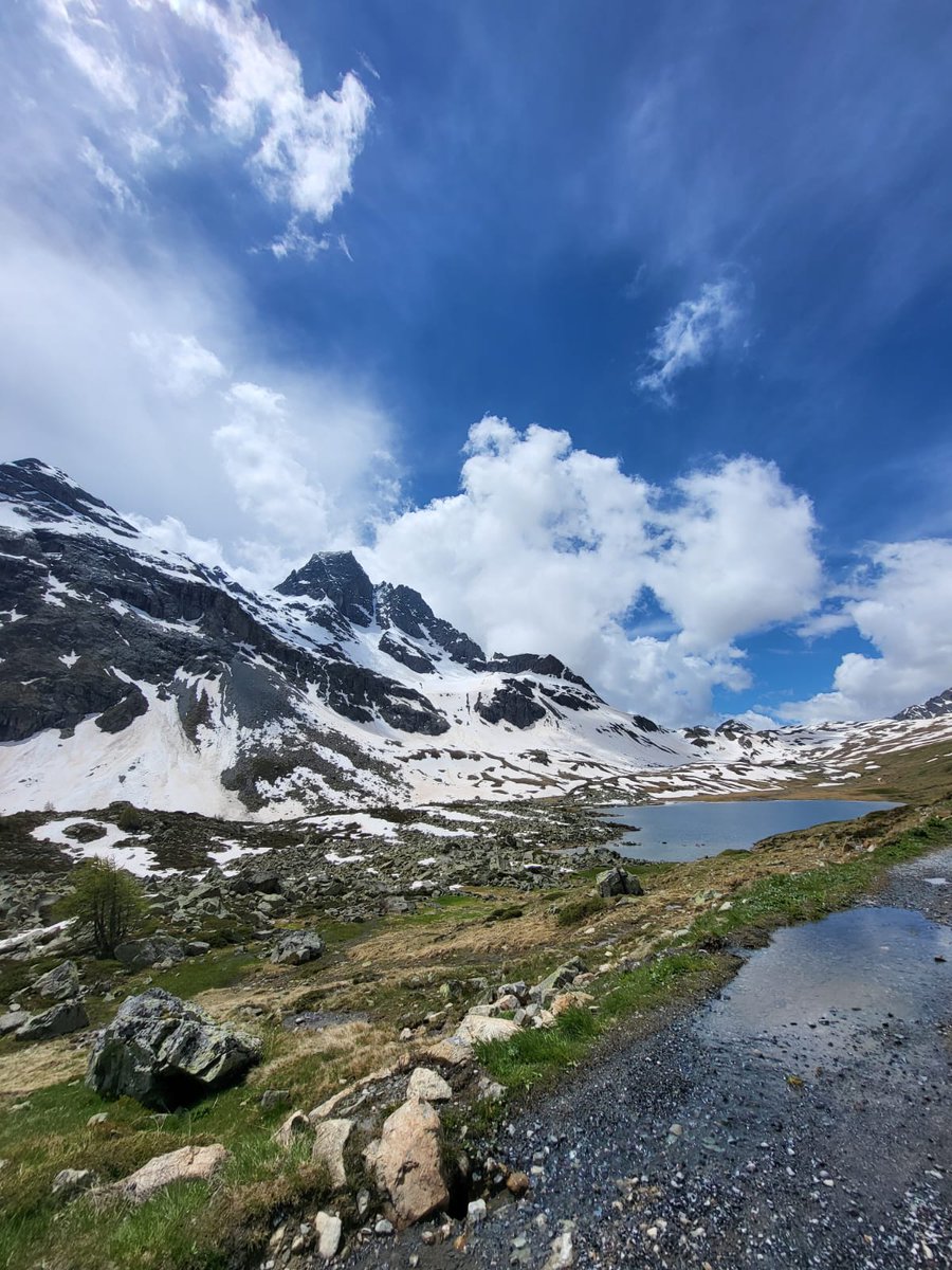 Saliinvetta's tweet photo. Rifugio Viola in Val Viola (So), Alta Valtellina ๐
๐Qui trovate tutti i dettagli di questo magnifico Rifugio :
https://t.co/5tP5MdOPRD
#trekking #camminate #valtellina #valviola https://t.co/L3cDsPyx24