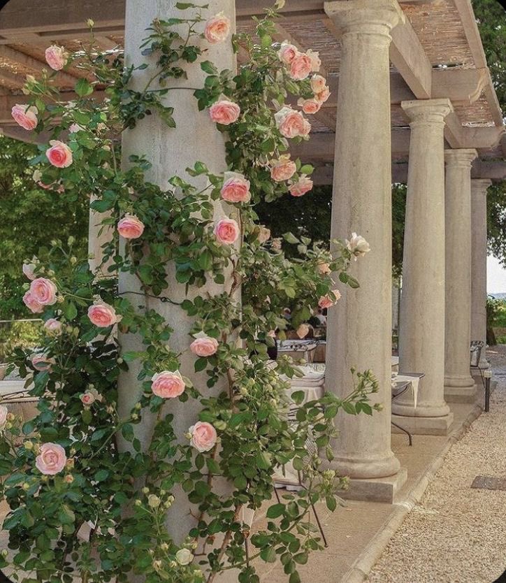 scarlettwants's tweet photo. My secret garden 🦋💐💭 https://t.co/vLZkcSWCnP