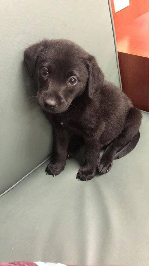 Beyond_theleash's tweet photo. They think I'm not pretty 😢 https://t.co/6EnjARWt7R