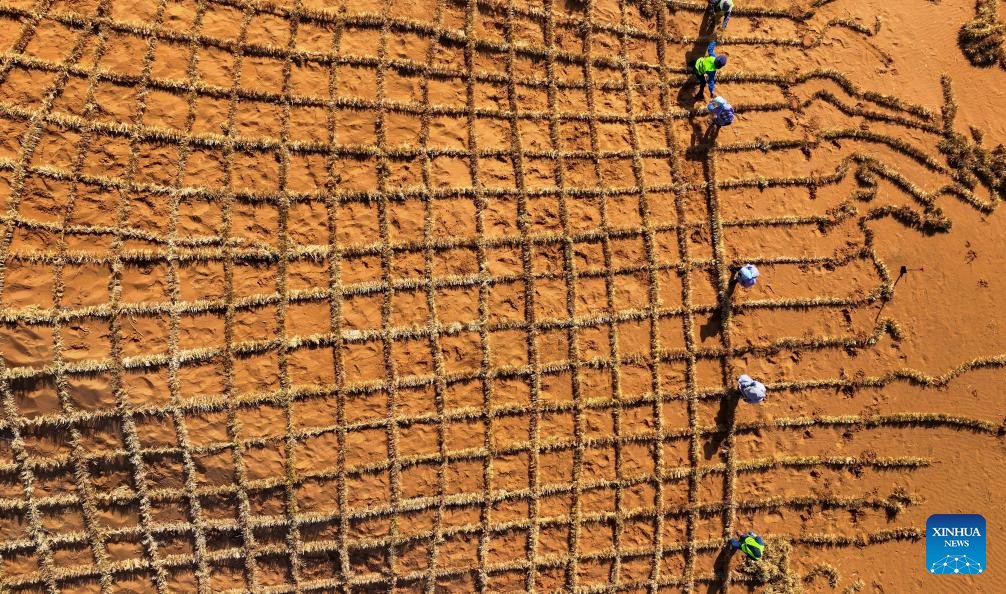 PuebloEnLnea's tweet photo. ¡Herramientas y tecnología innovadoras contribuyen al control de la #arena en el noroeste de China! Trabajadores pavimentan tableros de ajedrez de paja en el #desierto de #Tengger, en Zhongwei, en la Región Autónoma Hui de #Ningxia, el 30 de mayo del 2024. #ChinaVerde https://t.co/uiIaLkddVc