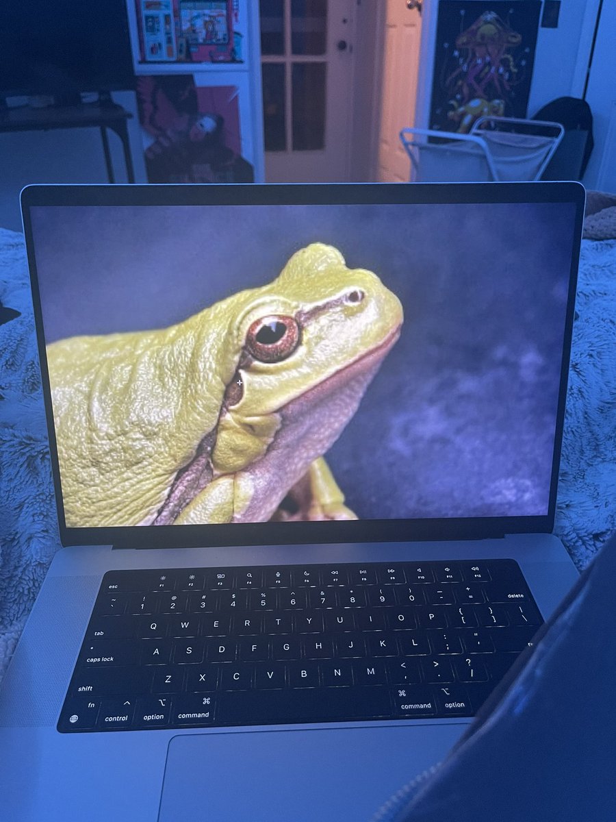 I love my job because THIS is literally my job, Im working, I need to look closely at frogs and then more frogs and then draw frogs. Amazing.