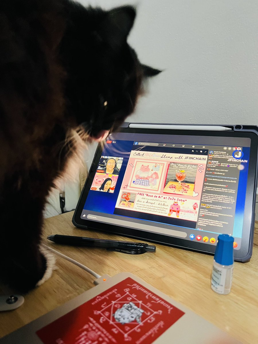 SunaOnne's tweet image. สภาพการดูไลฟ์ @Yishreah เมื่อคืน #JFINChain