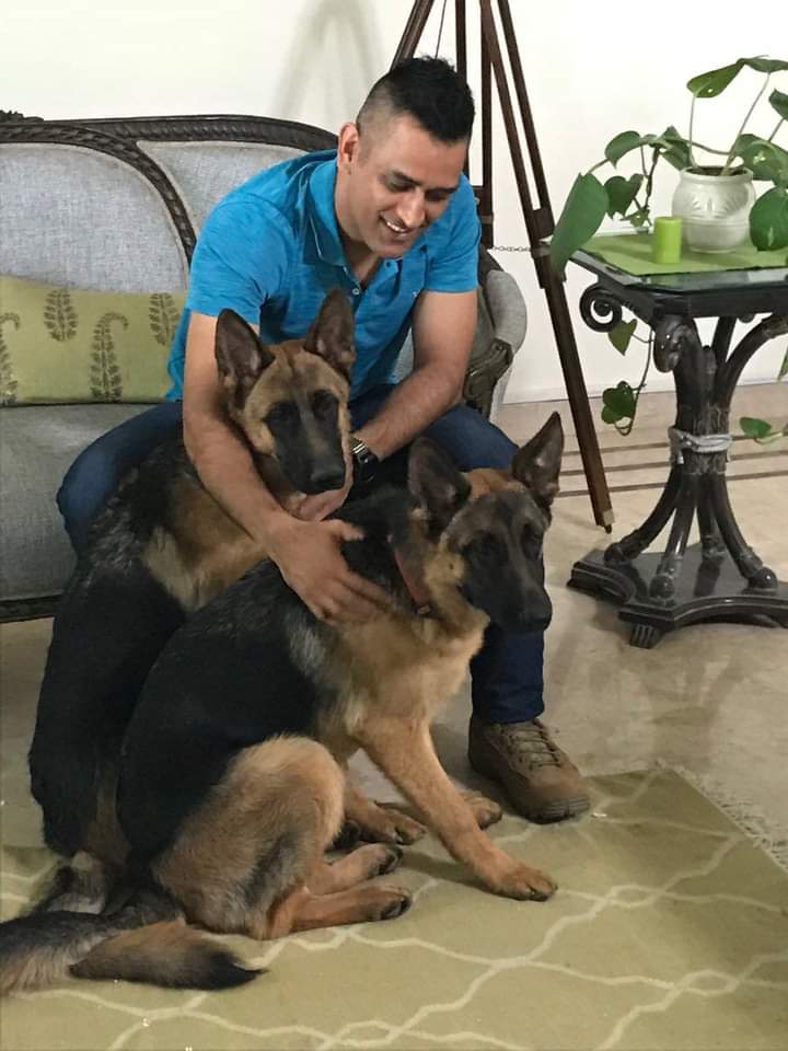 selfmusingfan's tweet photo. MS Dhoni and his love for dogs🐕‍🦺 :)❤️
A Thread 🧵 https://t.co/1YpJw0dRQh