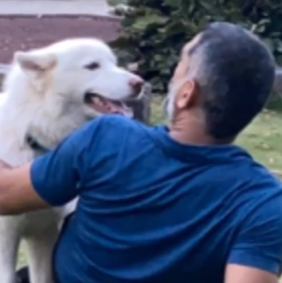 selfmusingfan's tweet photo. MS Dhoni and his love for dogs🐕‍🦺 :)❤️
A Thread 🧵 https://t.co/1YpJw0dRQh