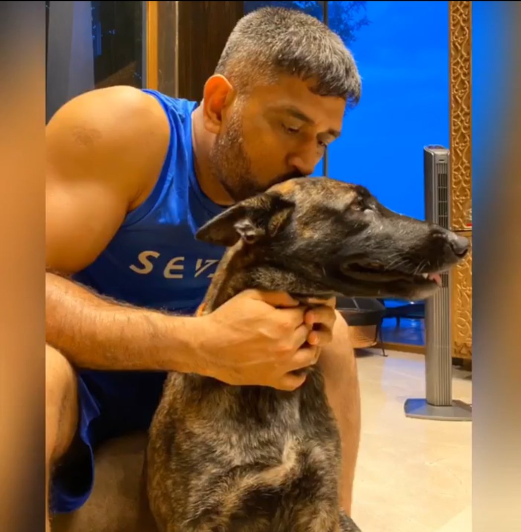 selfmusingfan's tweet photo. MS Dhoni and his love for dogs🐕‍🦺 :)❤️
A Thread 🧵 https://t.co/1YpJw0dRQh