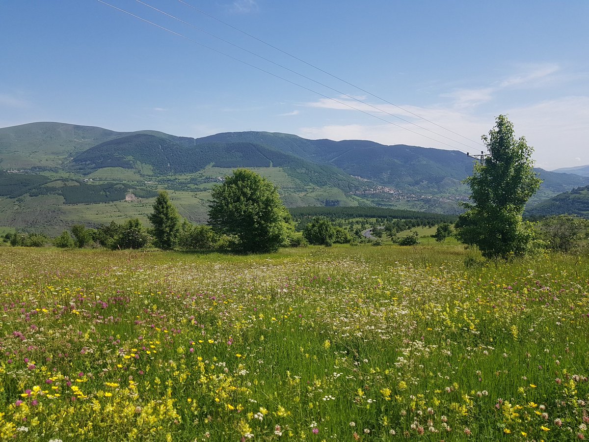 posofumcom's tweet photo. #Posof #Posofum https://t.co/qAUf9ycxpa