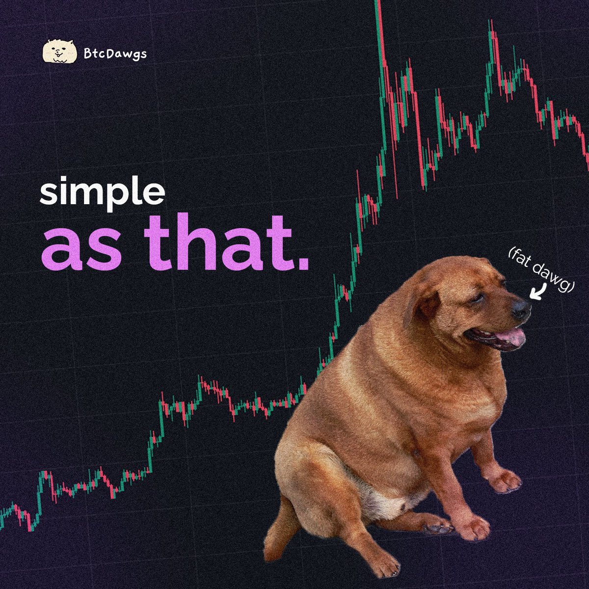 BTC DAWGS tweet media