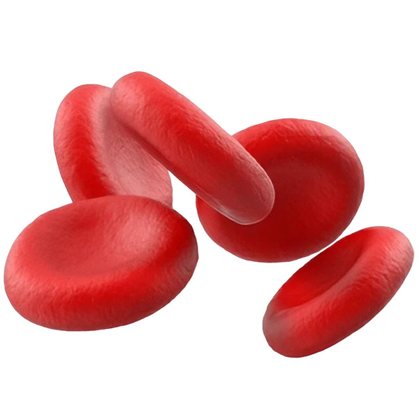 vijay5722483830's tweet image. Find the best blood test near me having several branches in Hyderabad. The best blood test lab near me comes in with the best care for you.
bit.ly/49eLzz1
#bloodtestinhyderabad
#bloodtestnearme
#diagnostics